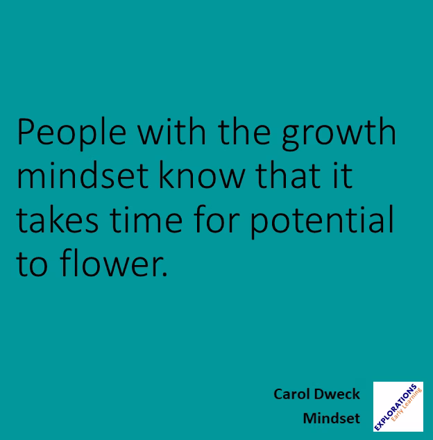 Mindset | Quote 00011