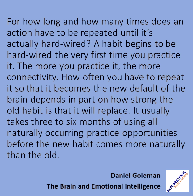 The Brain And Emotional Intelligence  | Quote 00054