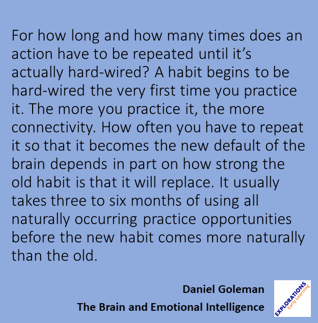 The Brain And Emotional Intelligence  | Quote 00054