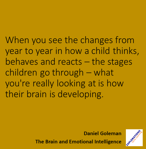 The Brain And Emotional Intelligence  | Quote 00682