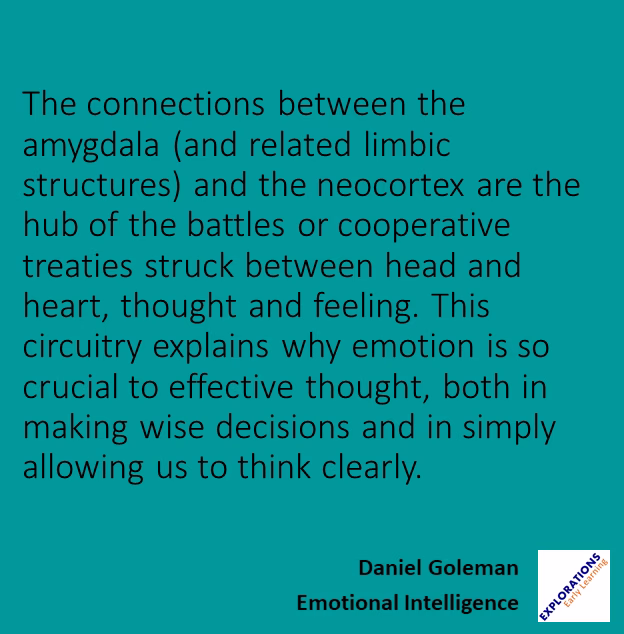 Emotional Intelligence | Quote 00075