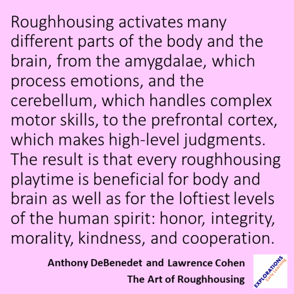 The Art Of Roughhousing | Quote 01268