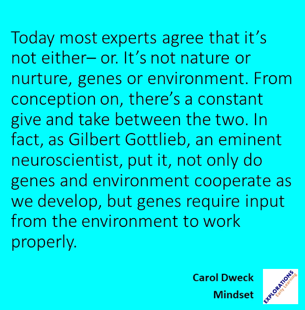 Mindset | Quote 01549