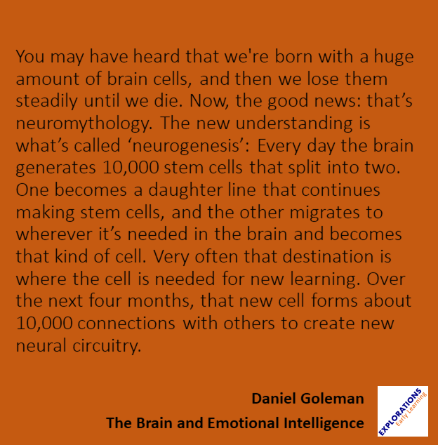 The Brain And Emotional Intelligence  | Quote 01095