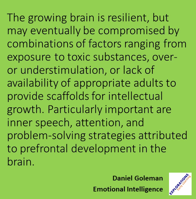 Emotional Intelligence | Quote 00533