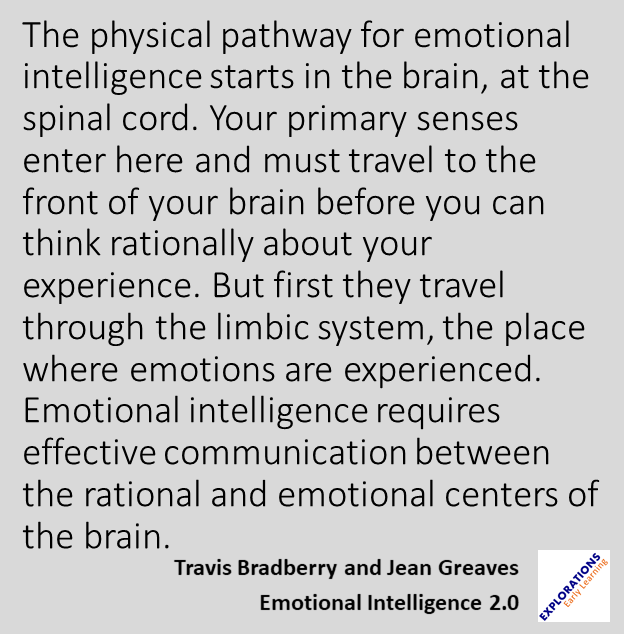 Emotional Intelligence 2.0 | Quote 00560