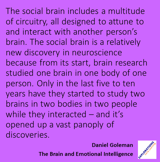 The Brain And Emotional Intelligence  | Quote 00563