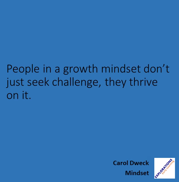 Mindset | Quote 00596