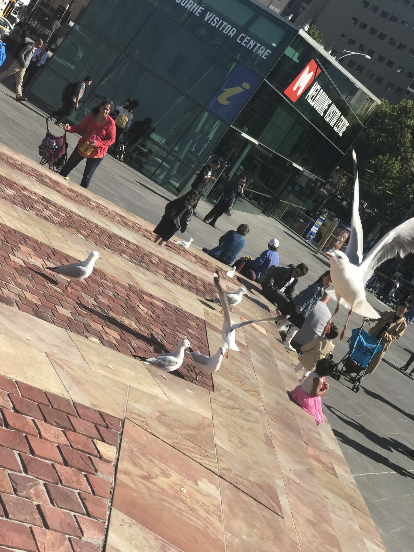 Seagulls (And Other Critters) As Loose Parts