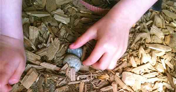 School Readiness Fear-Mongering