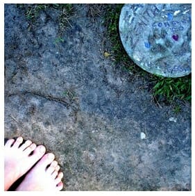 Nurturing Creativity (How I Learned to Shut Up)