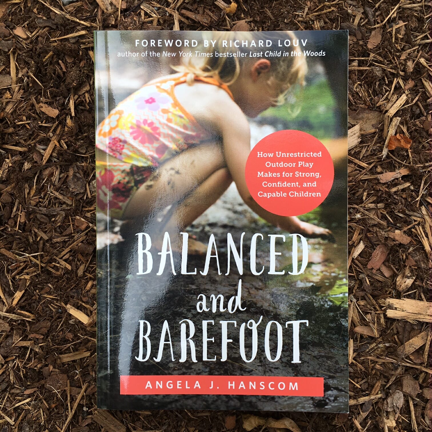 WHY CHILDREN FIDGET: And what we can do about it