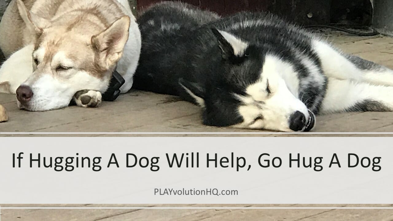 If Hugging A Dog Will Help, Go Hug A Dog