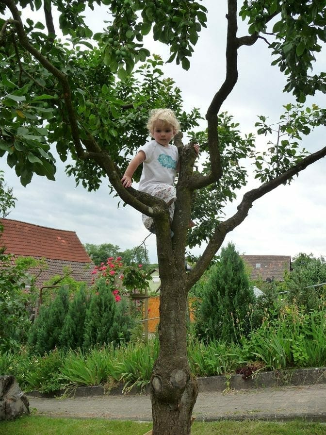 Let them climb!-Risk taking in early childhood