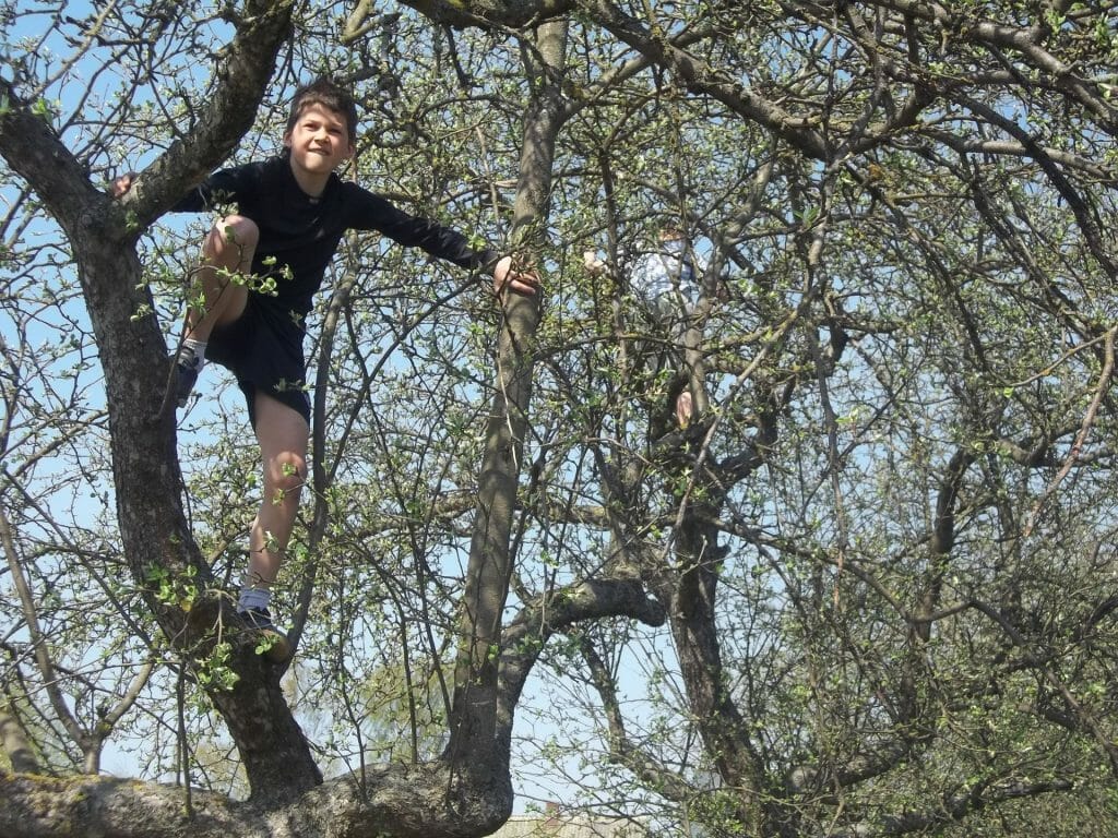 12 Ways to Help Your Child Take Risks