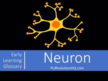 Neuron