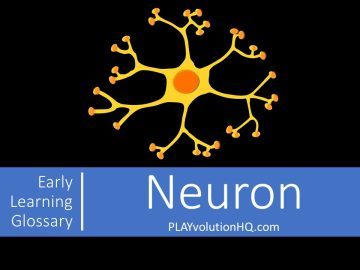 Neuron