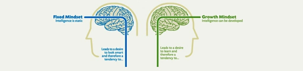 Dweck: you’re not a growth mindset person (and here’s why)