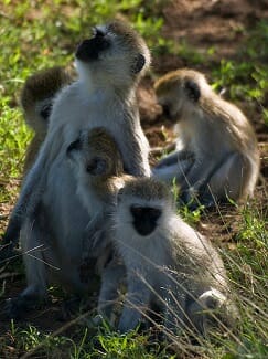 Parenting Stress: 10 evidence-based tips for making life better