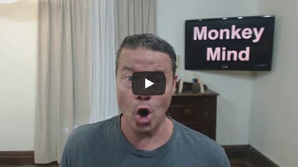 Self Care | Monkey Mind