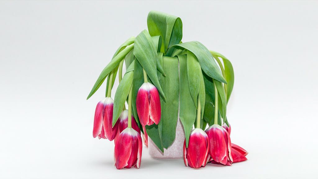 How Managers Can Prevent Their Teams from Burning Out