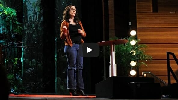 Video | What Babies Learn Before They’re Born by Annie Murphy Paul