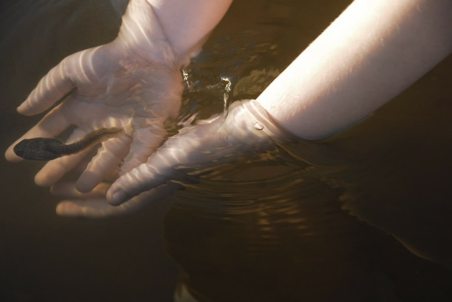 Don’t Homeschool Your Kids, Unschool Them