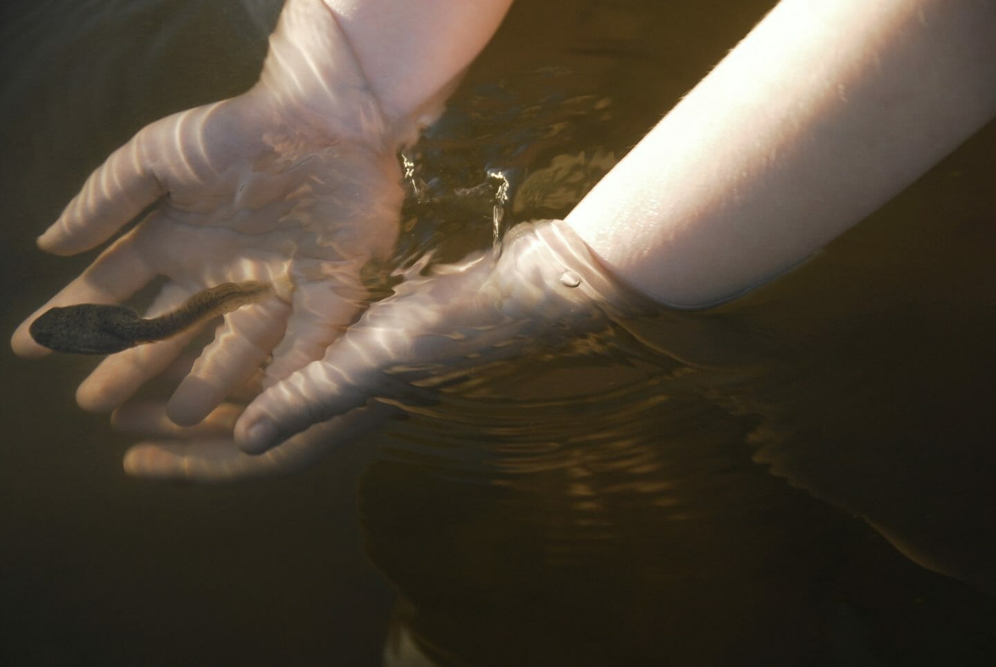 Don’t Homeschool Your Kids, Unschool Them