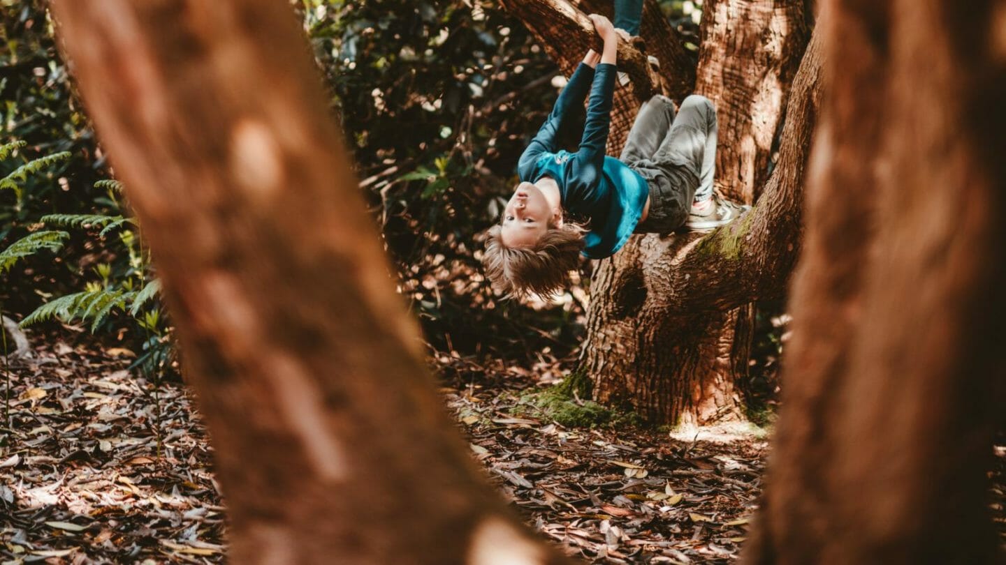 Why the Danes encourage their kids to swing axes, play with fire, and ride bikes in traffic