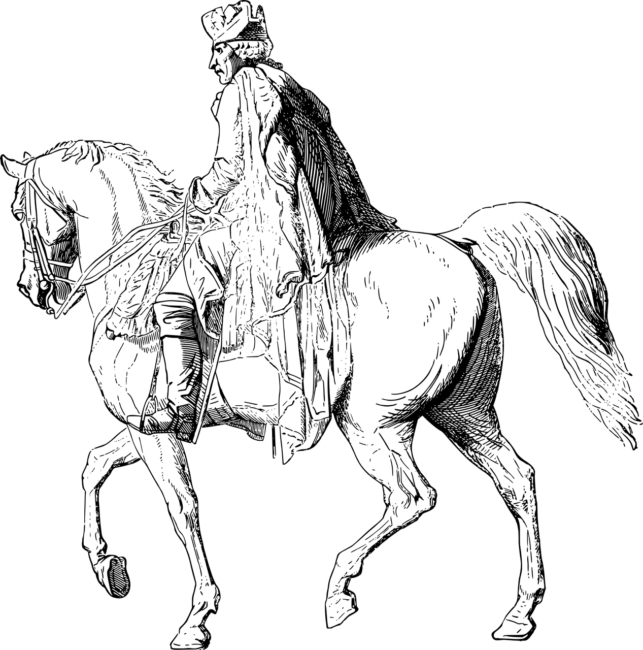 Nursery Rhymes | Here goes my lord