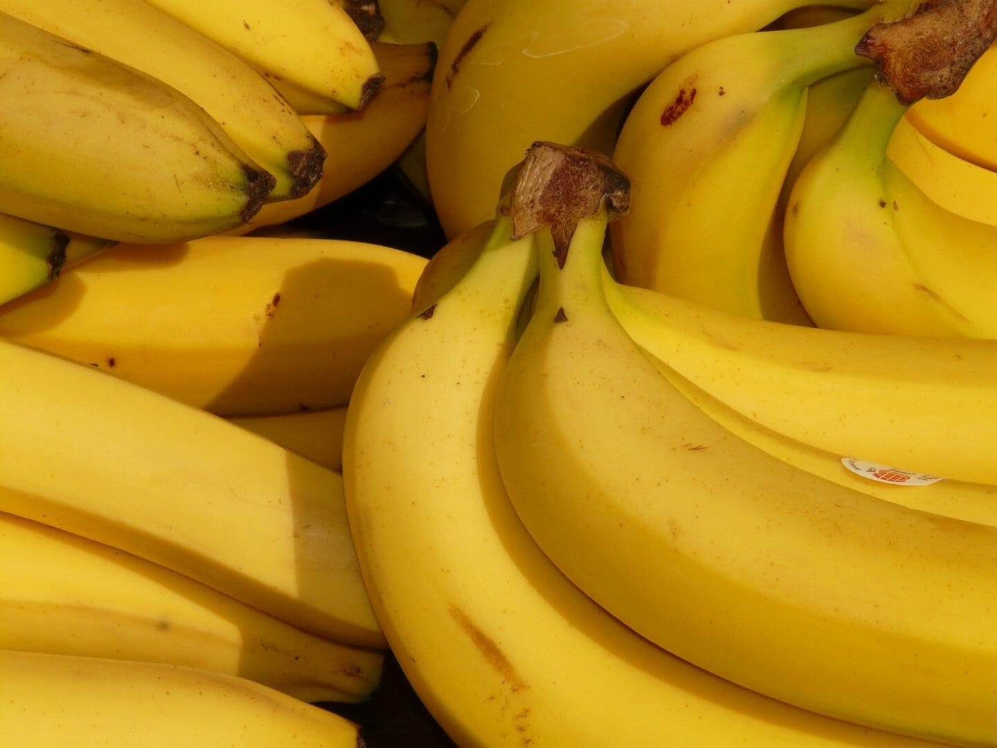 Folk Tale | Why the Bananas Belong to the Monkey