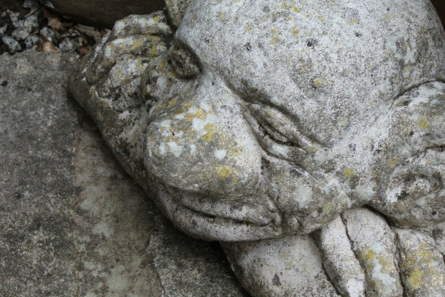 Fairy Tales | The goblin of Adachigahara