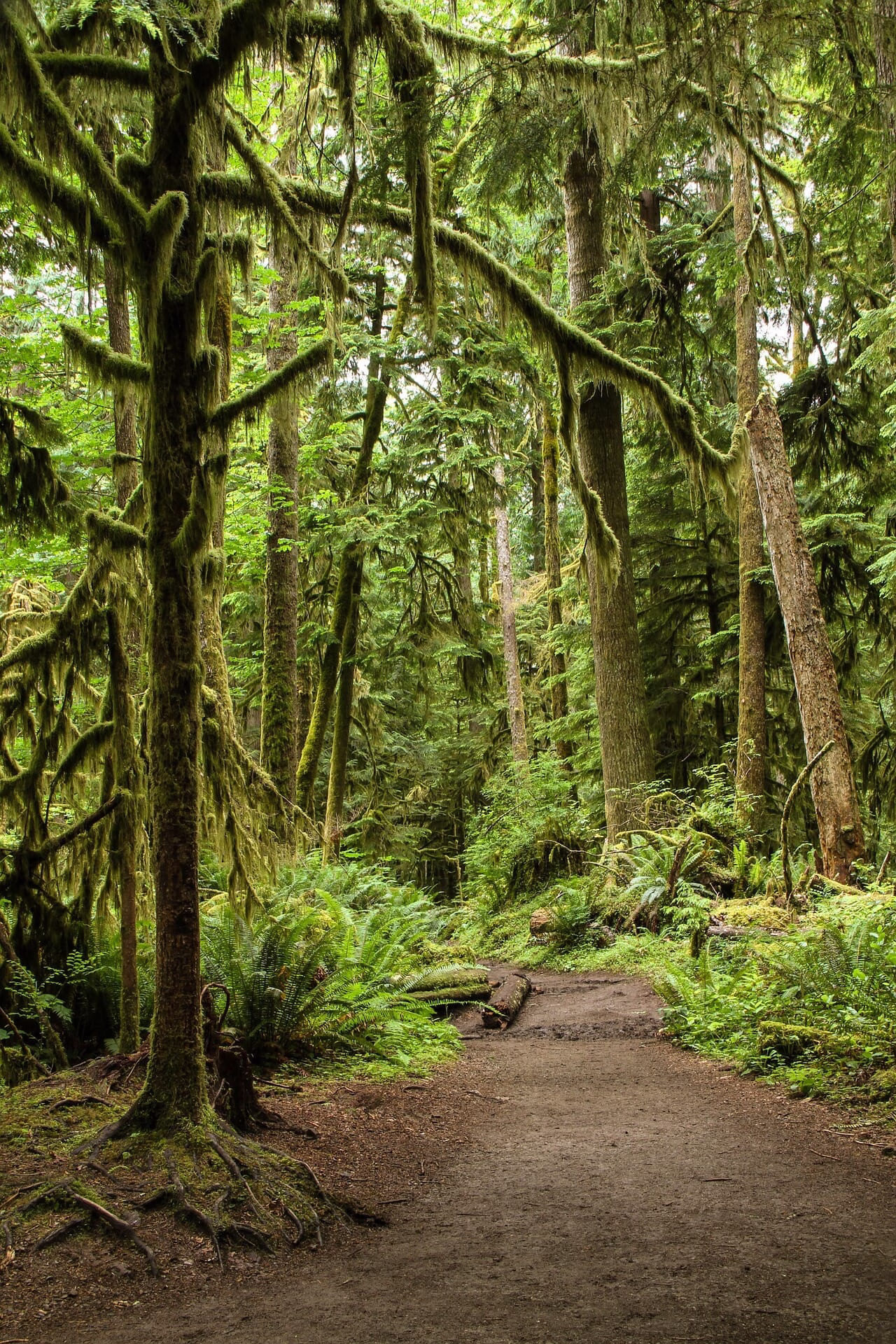 Folk Tale | The Quest of Cleverness