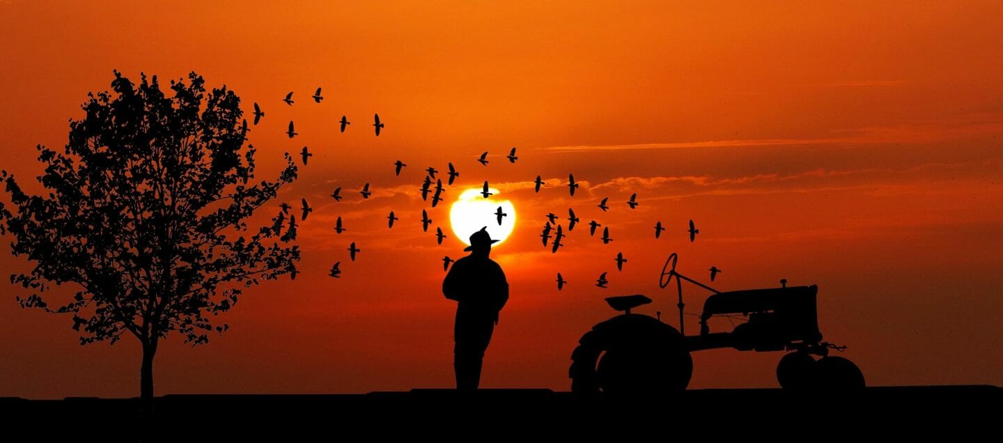 Nursery Rhymes | The farmer in the dell