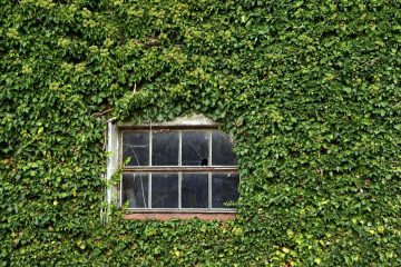 Nursery Rhymes | Come to the window