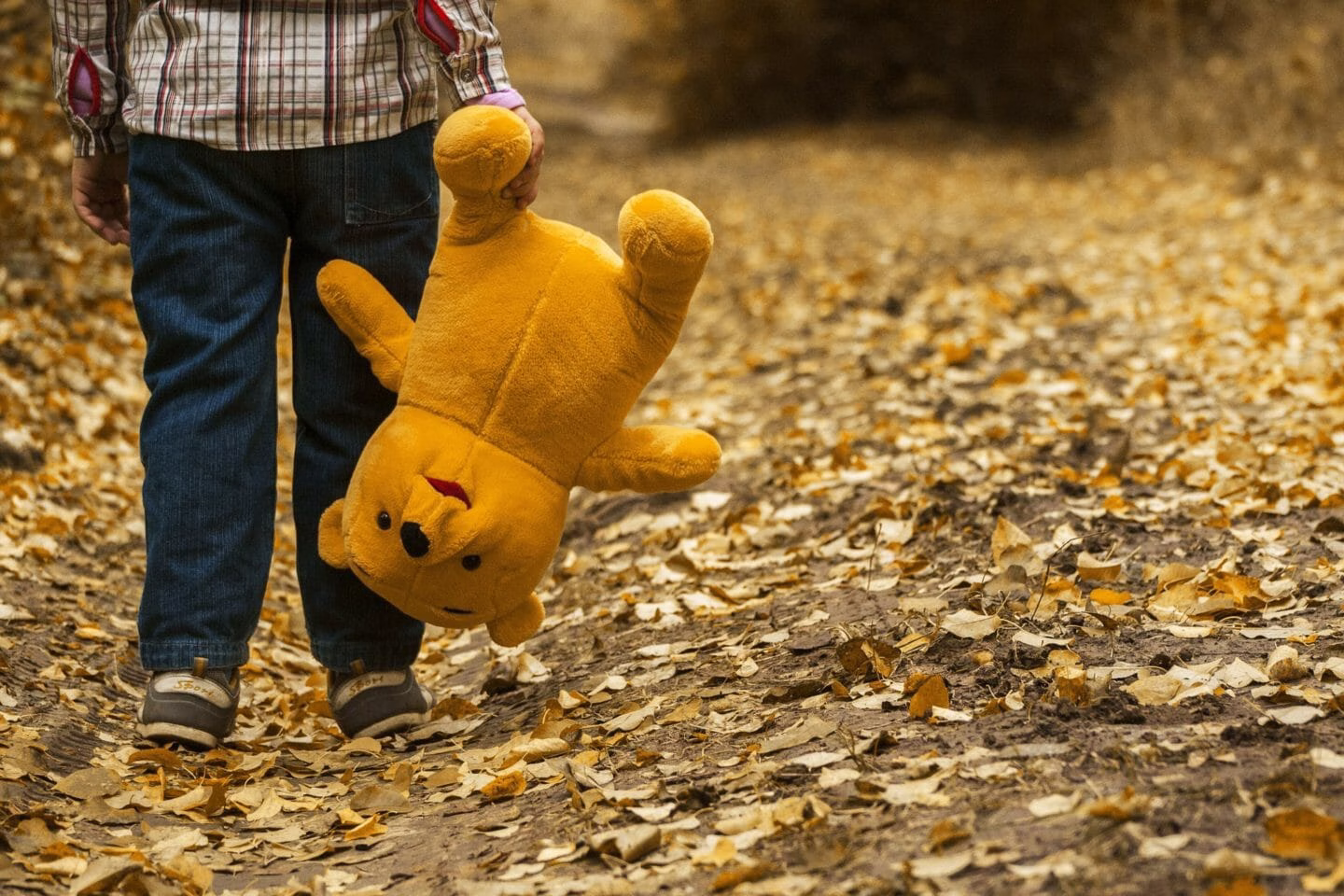 Still have your childhood teddy? The psychological power of the toys we keep