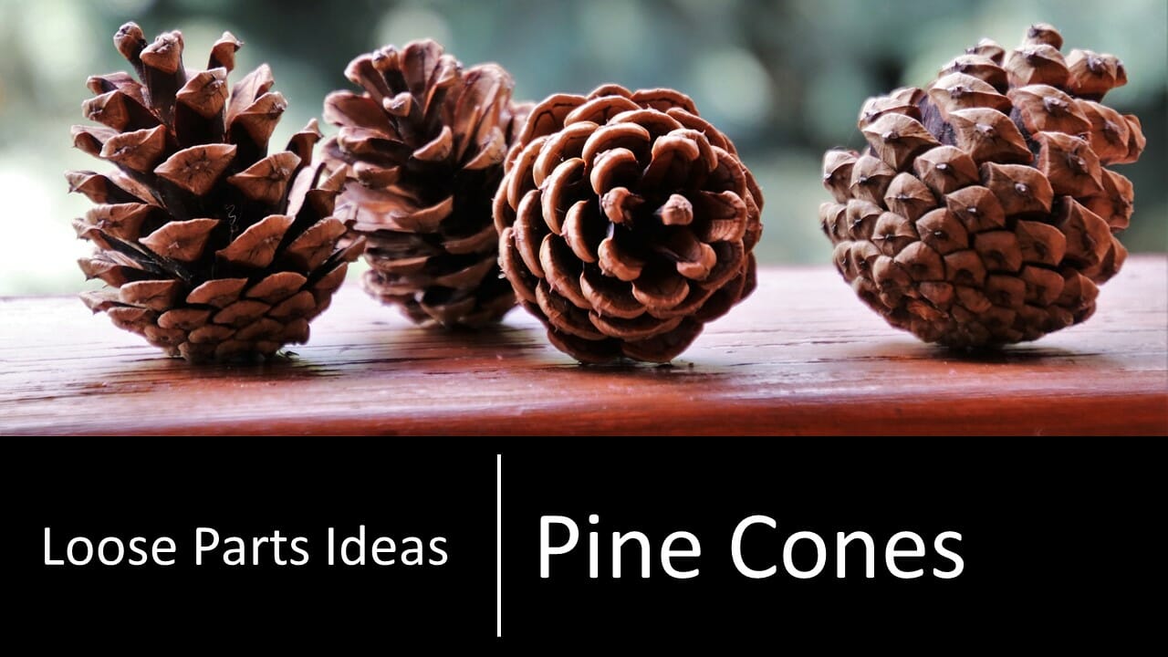 Pine Cones