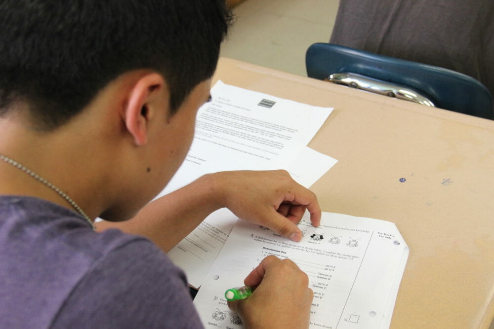 Five years after Common Core, a mysterious spike in failure rate among NY high school students