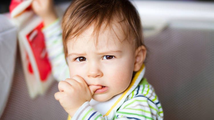 Toddlers and Biting: Finding the Right Response