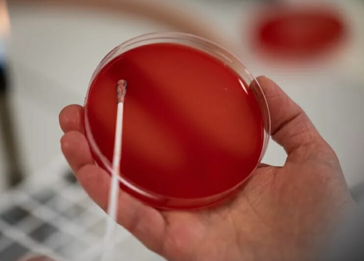 Is Science Broken? Major New Report Outlines Problems in Research