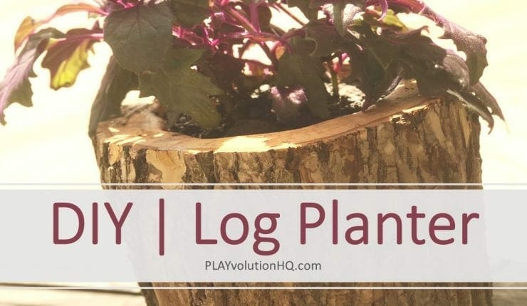 DIY | Log Planter