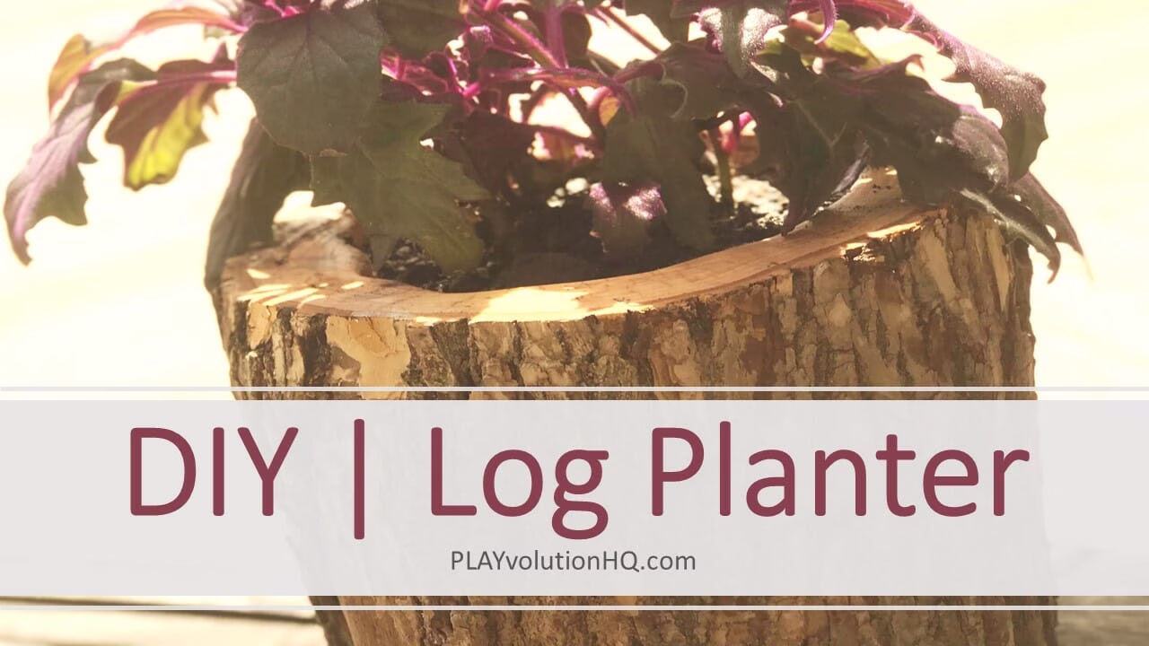 DIY | Log Planter