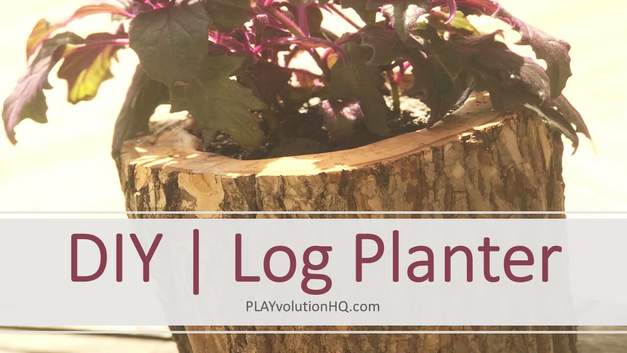 DIY | Log Planter