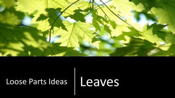 Leaves