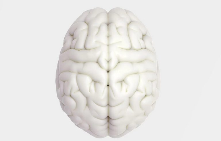 Excessive brain activity linked to a shorter life