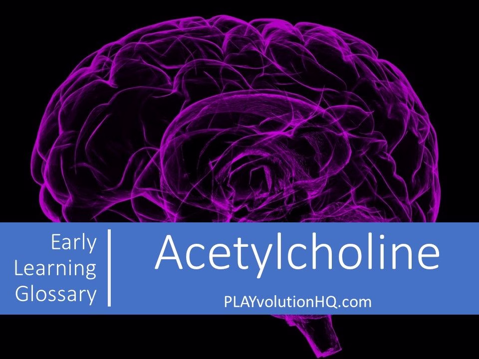 Acetylcholine