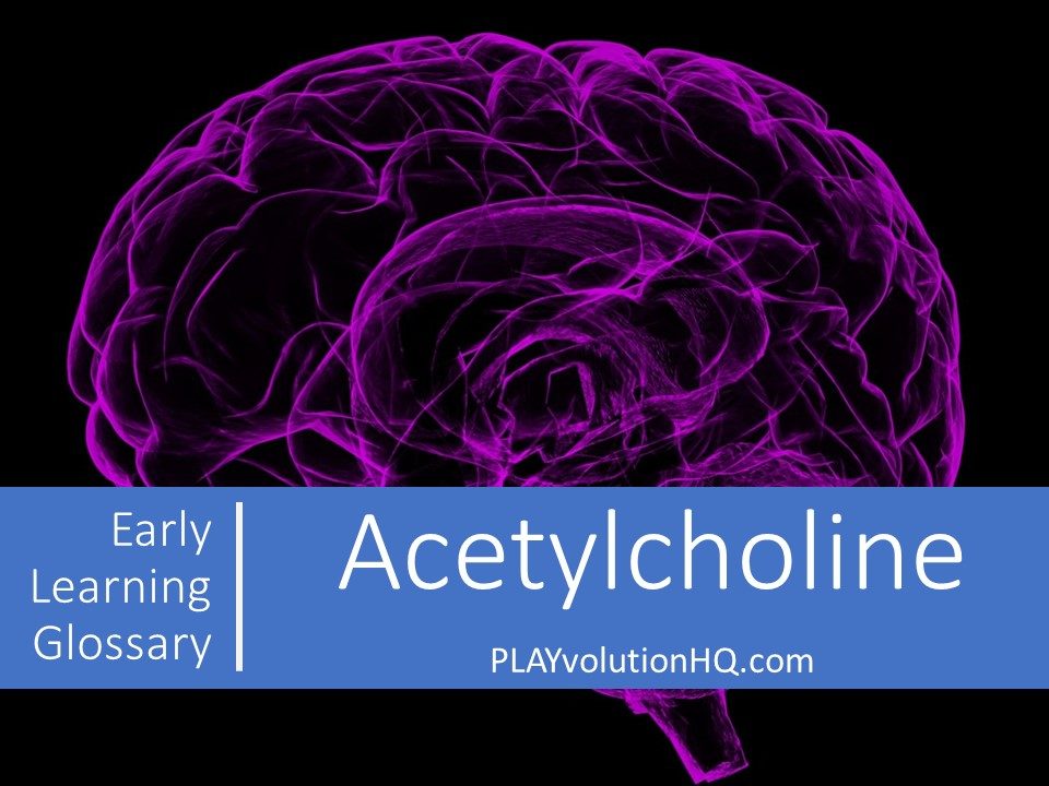 Acetylcholine