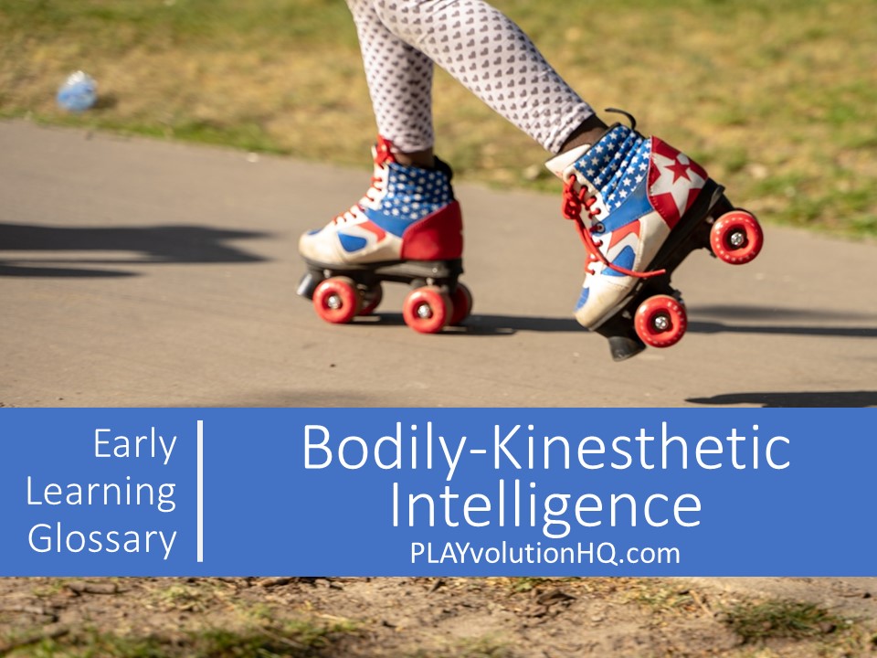 Bodily-Kinesthetic Intelligence