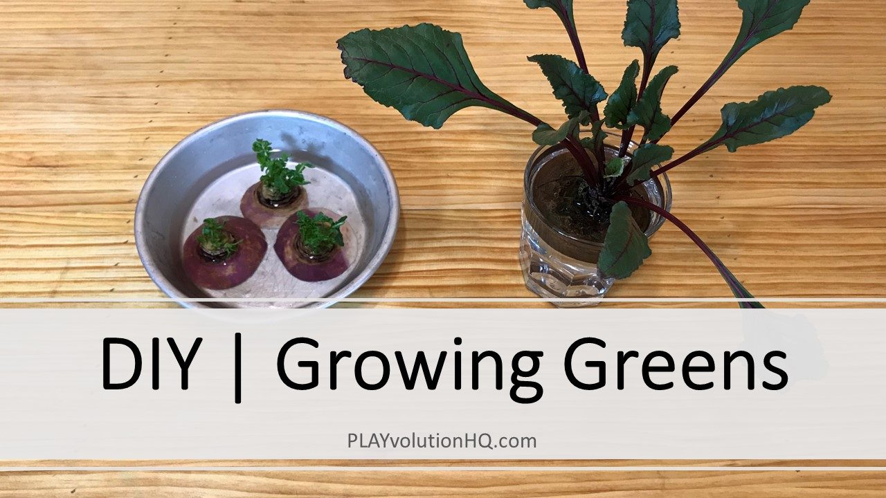 DIY | Growing Greens