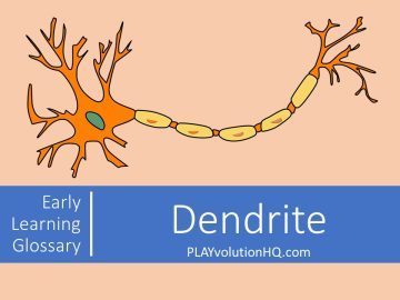 Dendrite